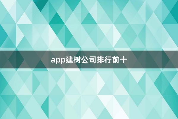 app建树公司排行前十